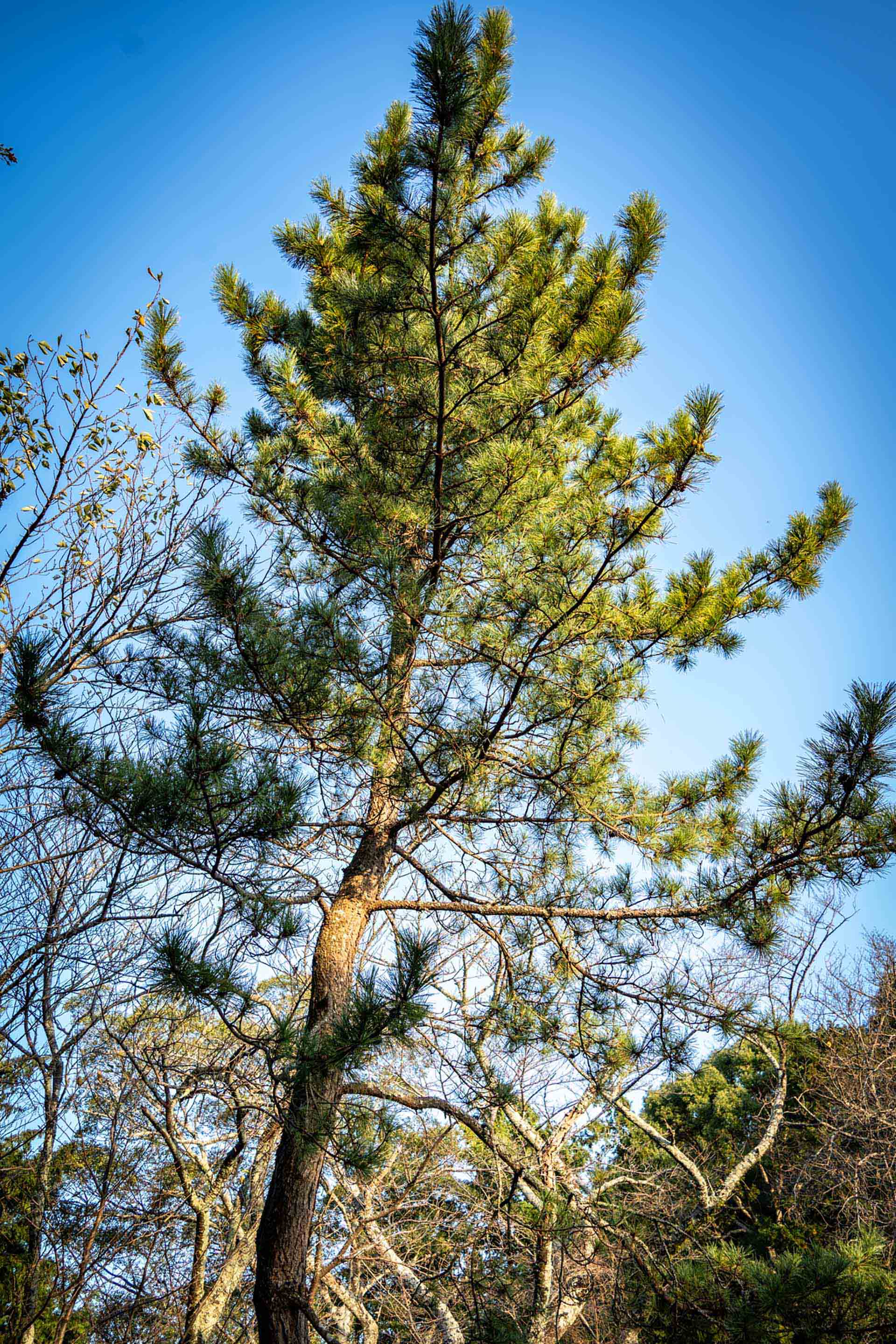 AIチャットボット導入で失敗する3つのパターンと成功の秘訣